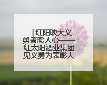 红阳映大义 勇者暖人心——红太阳酒业集团见义勇为表彰大会！